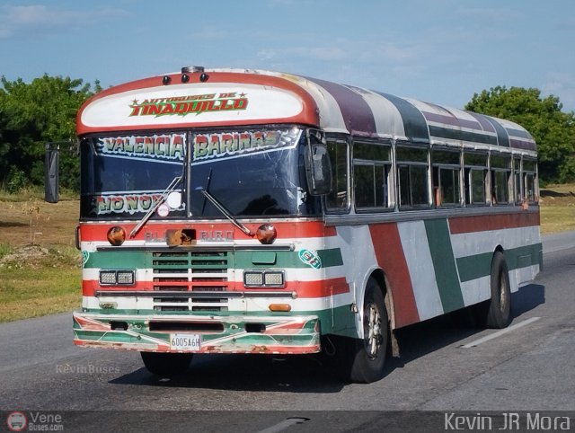 Autobuses de Tinaquillo 38 por Kevin Mora