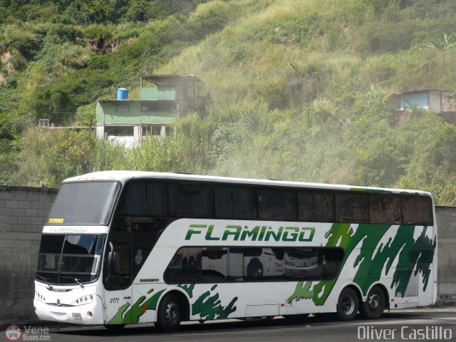 Expresos Flamingo 0171 por Oliver Castillo