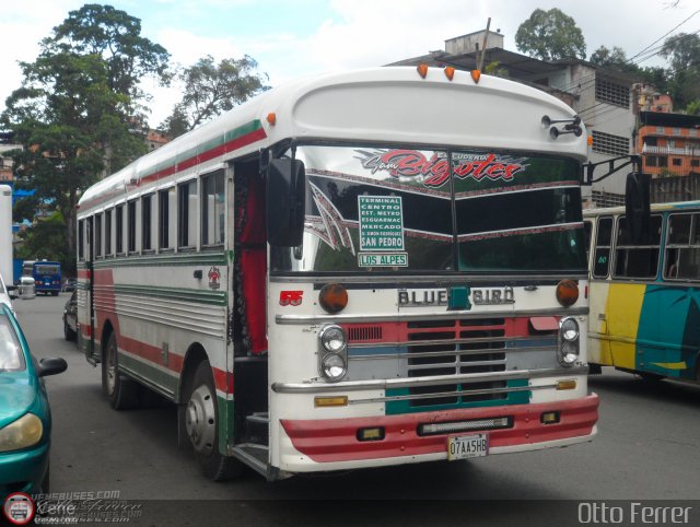 MI - Unin de Transportistas San Pedro A.C. 55 por Otto Ferrer