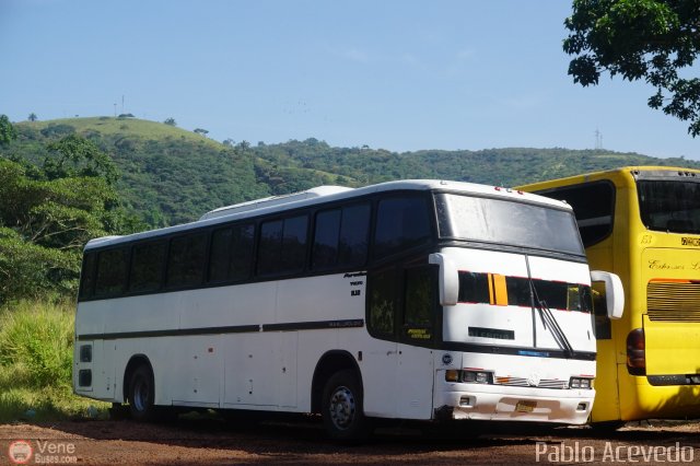 Particular o Desconocido 384 por Pablo Acevedo