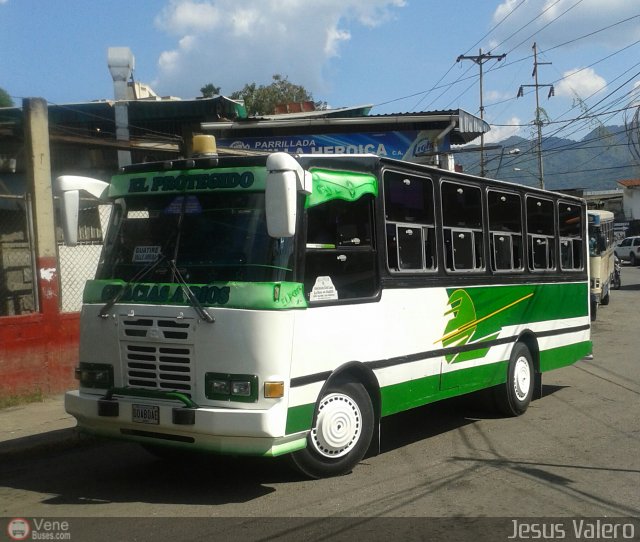 MI - A.C. L�nea La Rosa de Guatire 45 por Jes�s Valero