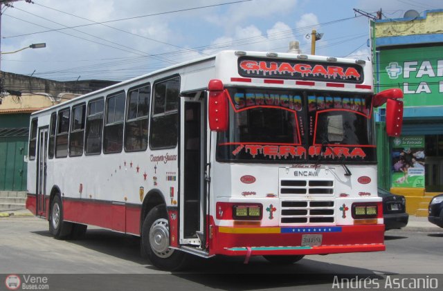 Transporte Guacara 2008 por Andr�s Ascanio