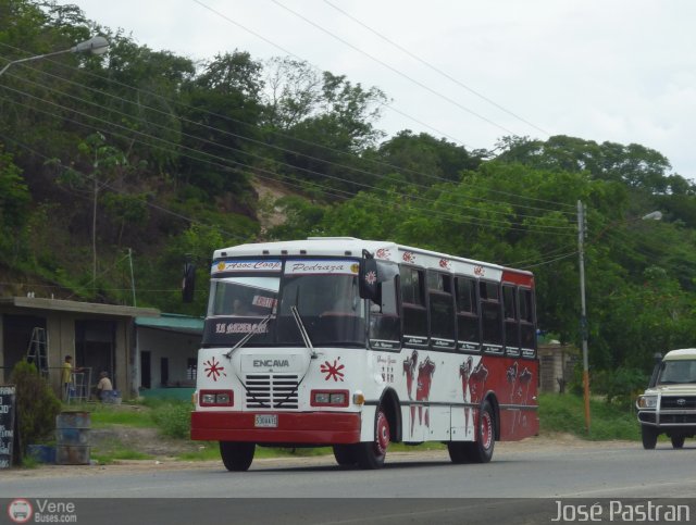 A.C. Pedraza 056 por Jos� Pastran