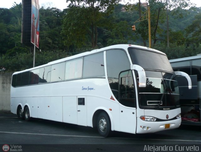 Expresos Guayana 999 por Alejandro Curvelo