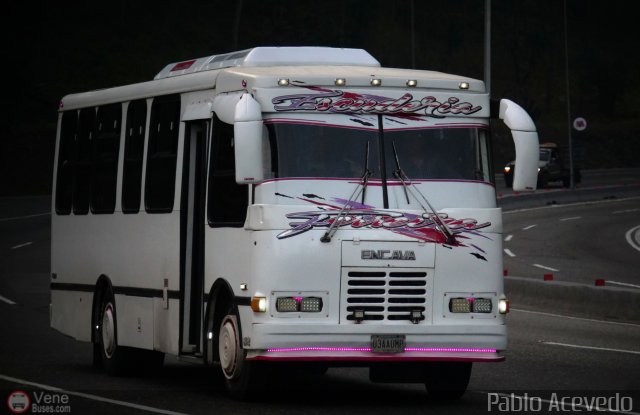 Particular o Desconocido 03 por Pablo Acevedo