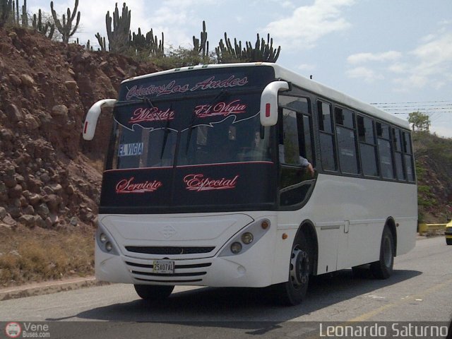 Colectivo Los Andes 31 por Leonardo Saturno