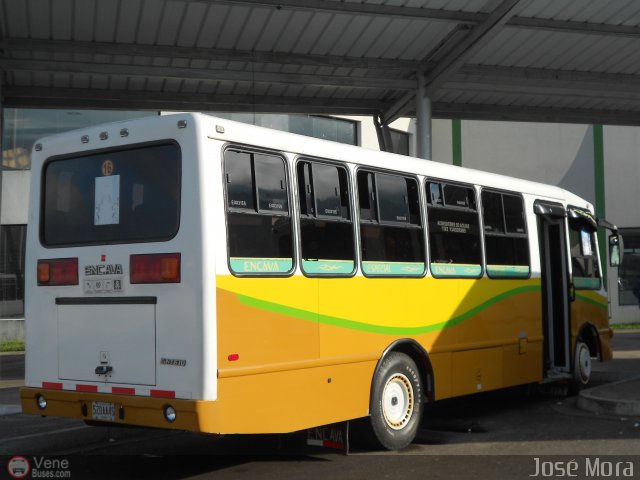 A.C. L�nea Col�n 16 por Jos� Mora