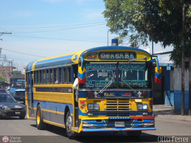 Transporte Guacara 0053 por Otto Ferrer