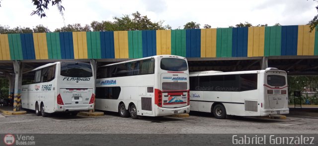 Garajes Paradas y Terminales Merida por Gabriel Gonzlez