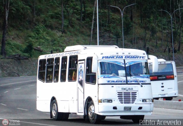 A.C. de Transporte N�mero Uno R.L. 024 por Pablo Acevedo