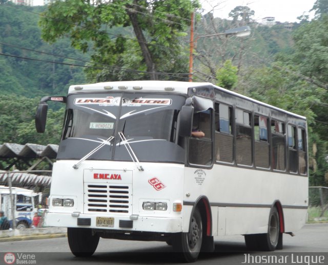 A.C. L�nea Sucre 066 por Jhosmar Luque