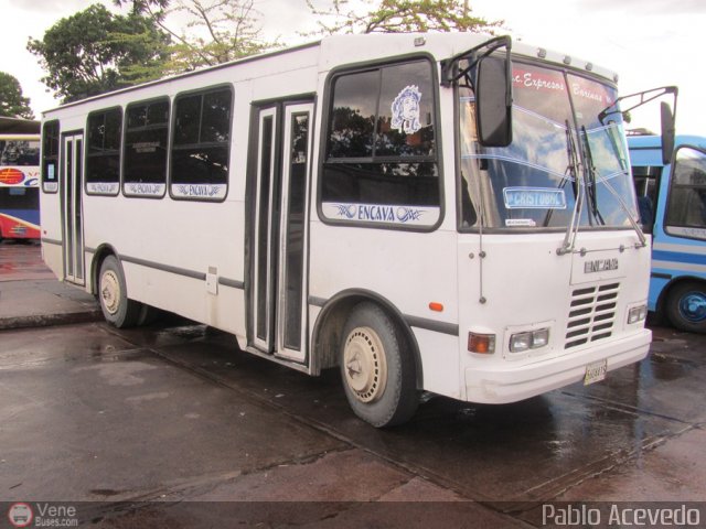 A.C. Expresos Barinas 116 por Pablo Acevedo
