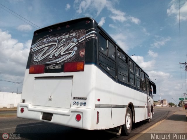 A.C.C. Caicara Amazonas 008 por Miguel Pino