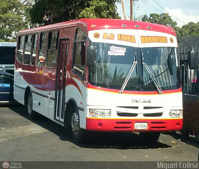 S.C. L�nea Barinitas 36 por Miguel Colina