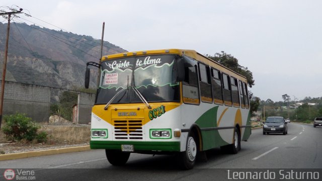 L�nea Los Caracoles 21 por Leonardo Saturno