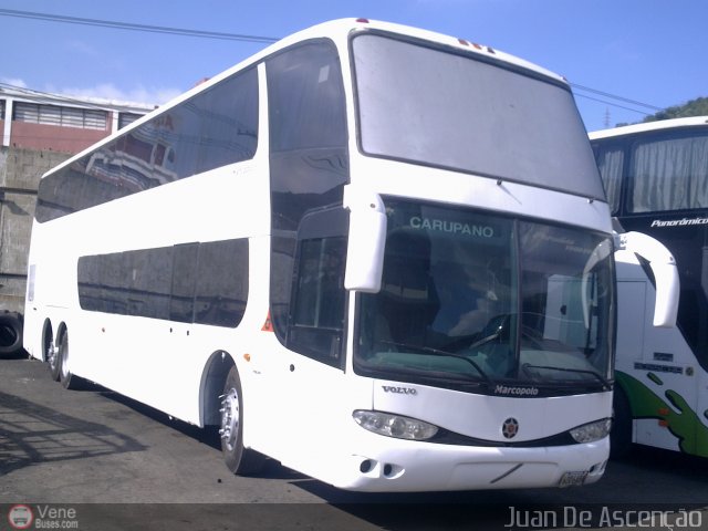 Expresos Flamingo 0116 por Juan De Ascen��o