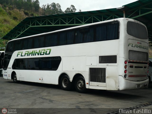 Expresos Flamingo 0090 por Oliver Castillo