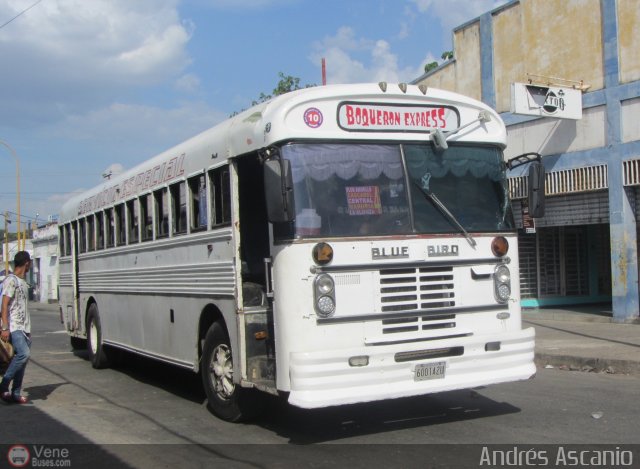 A.C. Boquer�n Express 10 por Andr�s Ascanio