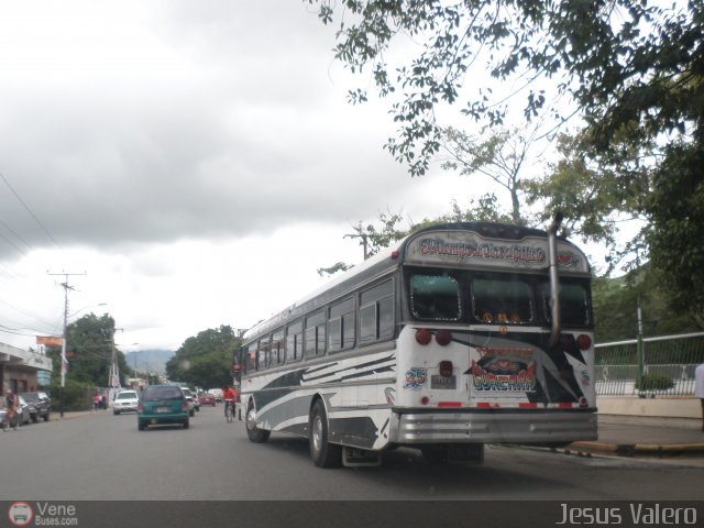 Transporte Guacara 0025 por Jes�s Valero