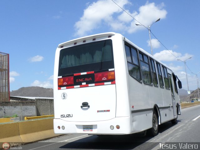 Particular 1589 por Jess Valero