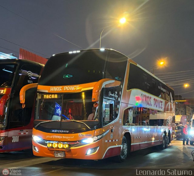 Transportes Hermanos Ponce 965 por Leonardo Saturno