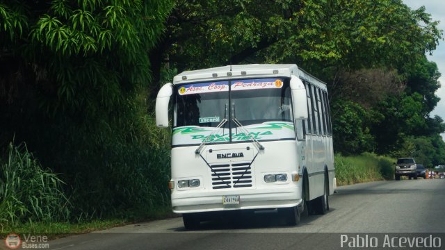 A.C. Pedraza 055 por Pablo Acevedo