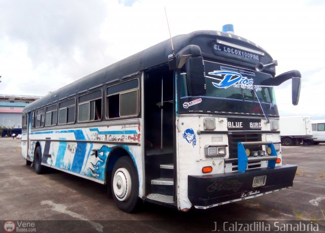 Particular o Desconocido 02 por Jos�as Calzadilla