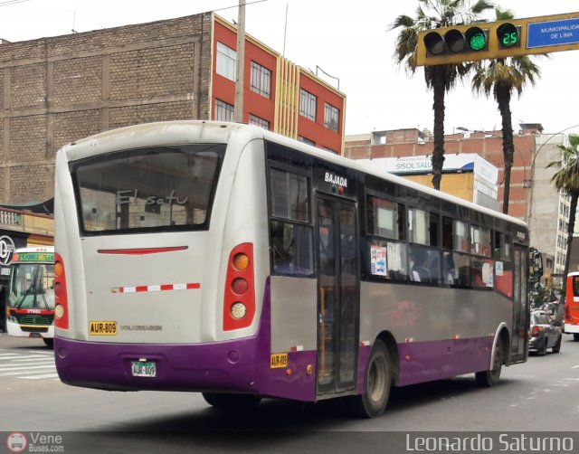 Consorcio del Corredor Morado 809 por Leonardo Saturno