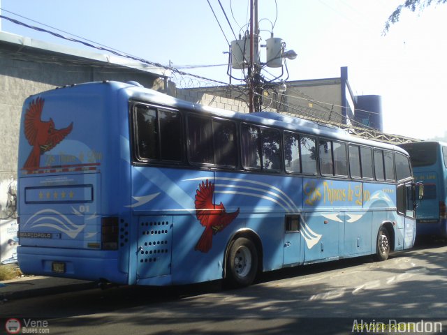 Los P�jaros de Lara 001 por Alvin Rond�n