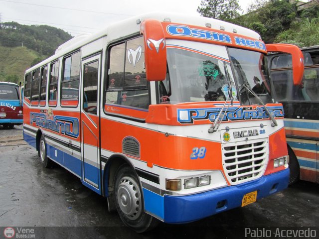 A.C. Indepasib 028 por Pablo Acevedo