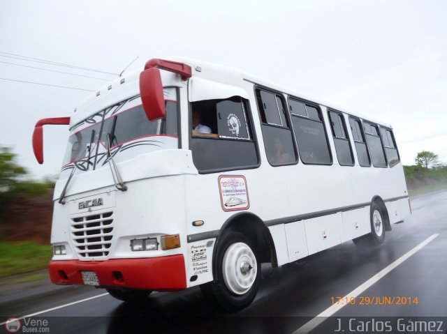 Tren Express 54 por J. Carlos G�mez