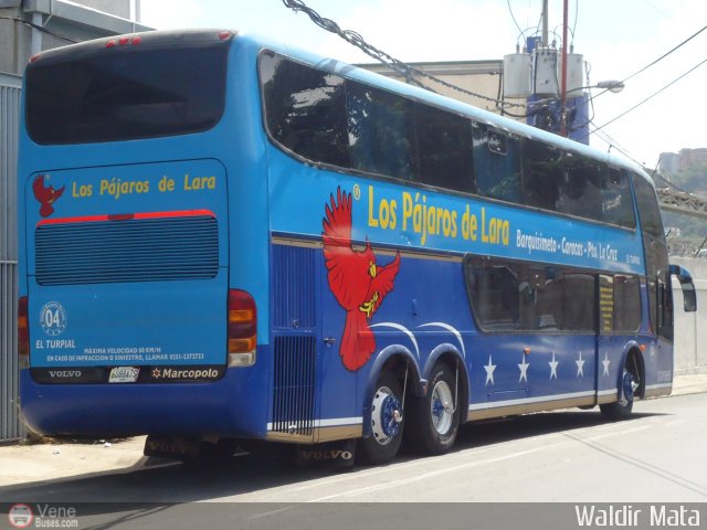 Los P�jaros de Lara 004 por Waldir Mata