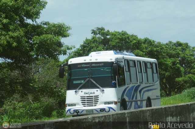 A.C. Expresos Barinas 013 por Pablo Acevedo