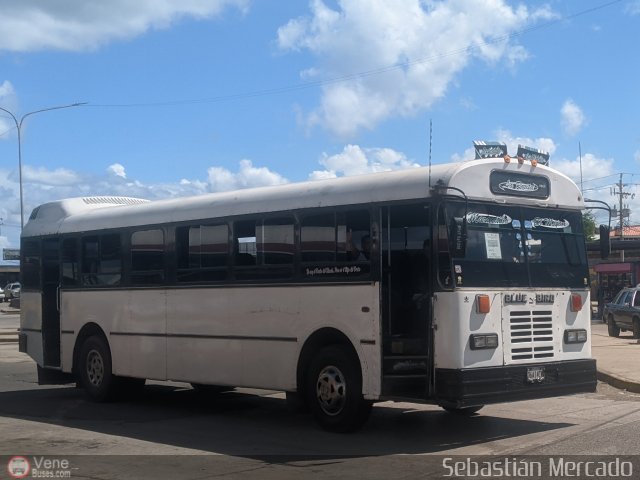 Colectivos La Rosita 008 por Sebasti�n Mercado