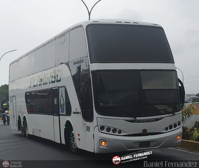 Expresos Flamingo 0090 por Daniel Fern�ndez