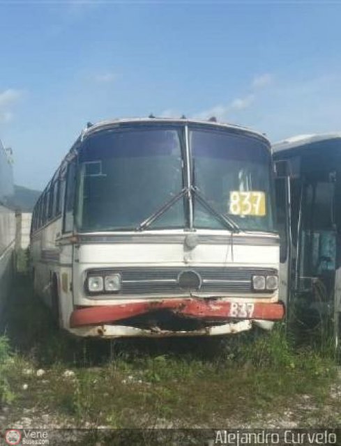 En Chiveras Abandonados Recuperaci�n AC008 por Alejandro Curvelo