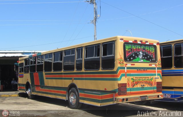 Transporte Guacara 0022 por Andr�s Ascanio