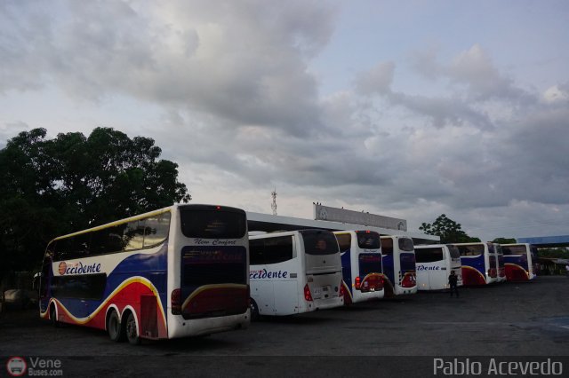 Expresos Occidente Gua 2019 9 por Pablo Acevedo