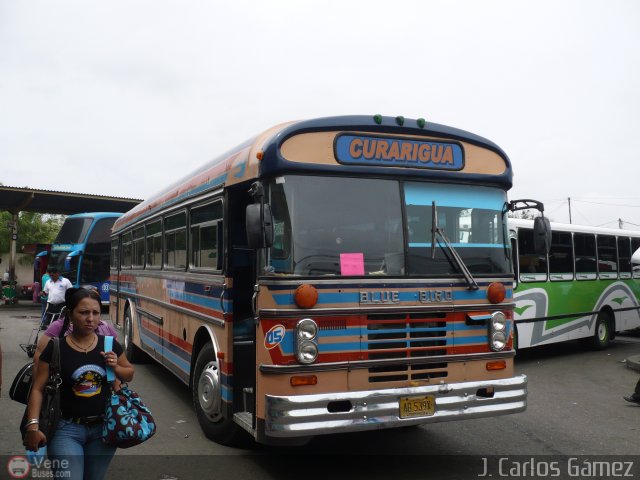 L�nea Curarigua 05 por J. Carlos G�mez