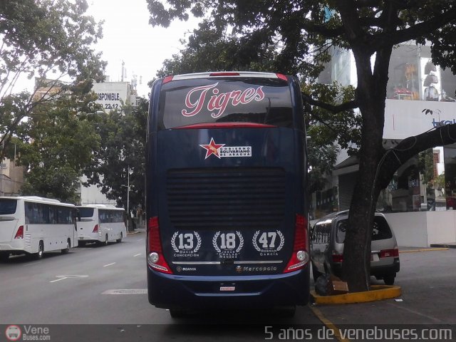 Tigres de Aragua B.B.C. 01 por Waldir Mata