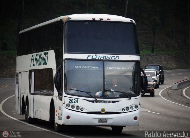 Expresos Flamingo 2024 por Pablo Acevedo