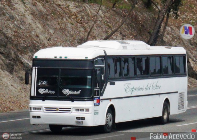 Expresos Del Sur 2012 por Pablo Acevedo