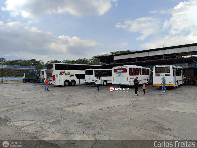 Garajes Paradas y Terminales Miranda por Carlos Freitas