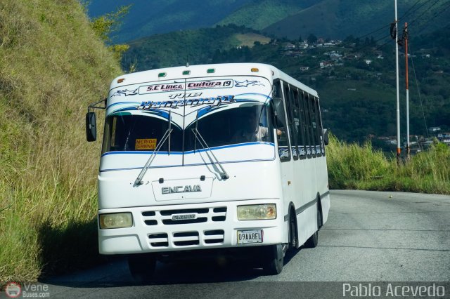 L�nea Cultura 19 por Pablo Acevedo