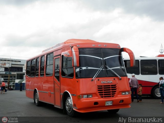 Particular o Desconocido 211 por Aly Baranauskas