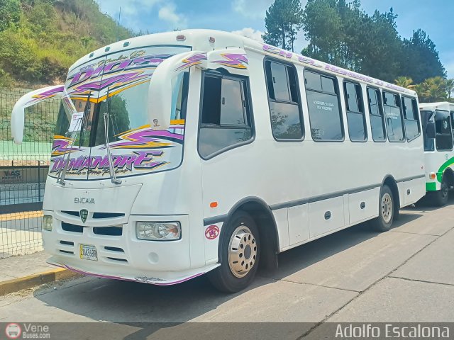 Organizaci�n Guaicamacuto 225 por Adolfo Escalona