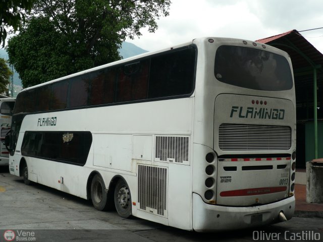 Expresos Flamingo 0013 por Oliver Castillo
