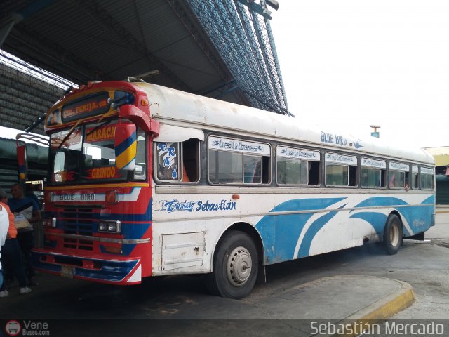 Colectivos Perij� 26 por Sebasti�n Mercado