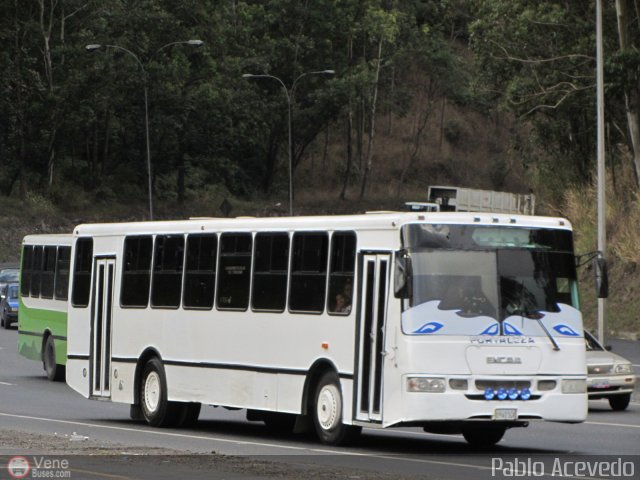 Particular o Desconocido 393 por Pablo Acevedo