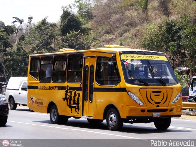 Universitarios y Escolares 99 por Pablo Acevedo